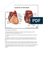 The Myocardium