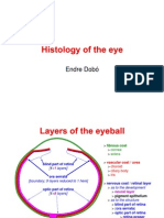 Histology of The Eye