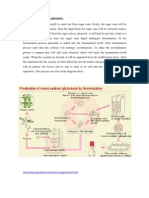 Process Manufacturing Ajinomoto