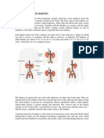 Kidney