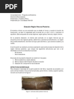 Diseccion Femoral Posterior - Lina Salazar