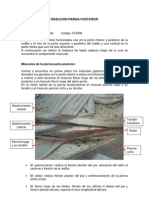 Diseccion Pierna Posterior Izquierda Tatiana Victoria Sañudo