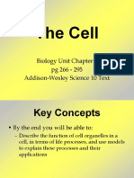 Biology Unit Chapters 2 and 3 Plus IB