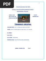 PDF Documento