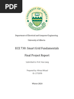 ECE 730 Final Project Report