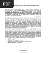 PDF Documento