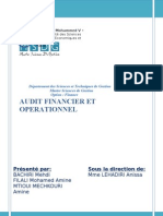 Audit Financier Et Opérationnel