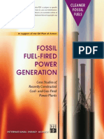 Fossil Fuel Fired Power Plant