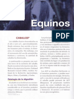 Nutrición Equina - 0001