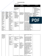 Nursing Care Plan 2