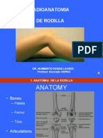 Radioanatomia Rodilla