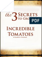 Tomato Secrets