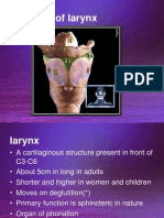 Anatomy of Larynx 