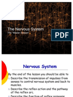 Nervous System1