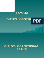 Familia Diphyllobothriidae