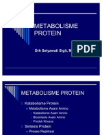 Metabolisme Protein As Amino