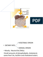 Fat Digestion and Absorption