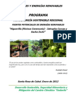 Proyecto Biocombustibles Osdavilo