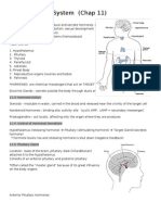 The Endocrine System (Notes)