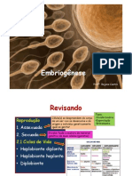 Aula 3 EM 3° Ano - Embriogenese