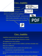 Lecture Notes3 - Amphibians