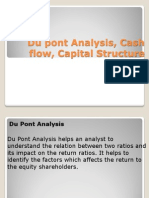 Du Pont Analysis, Cash Flow, Capital Structure