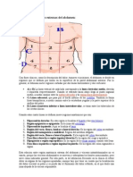 Abdomen