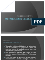 Metabolismo de Los Carbohidratos