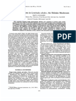 DNA Polymorphisms: Lentinula Edodes