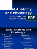 Renal Anatomy and Physiology