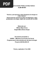 Hechos y Percepciones Sobre Fenómenos de Drogas en El Eje Cafetero 2006