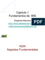 Capitulo 1 Fundamentos de IMS