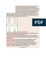 Terminilogia Anatomica