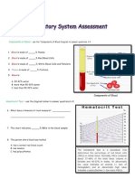 Circulatory System Assessment