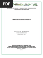 Estudio de Factibilidad e Implementacion Granaja Avicola Product or A de Huevo de Mesa