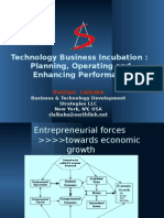 Technology Business Incubation