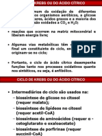 Ciclo de Krebs Aula