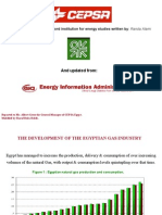 Domestic Natural Gas Market