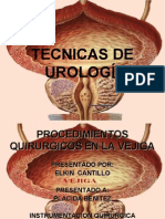 Procedimientos Quirurgicos en Vejiga