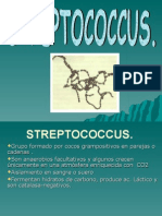 Streptococcus