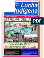 Lucha Indigena 67