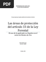 Las Areas de Proteccion Del Articulo 33 de La Ley Forestal - El Caso de La Quebrada Los Negritos en El Sector de Montes de Oca