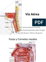 Vía Aerea Clinica Vespucio