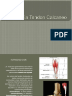 Tenorrafia Tendon Calcaneo