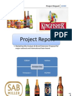 MKT Project-Beer India