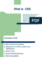 What Is CSS