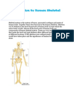 Introduction To Human Skeletal System