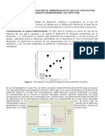 Practica de Cromatografia Bidireccional