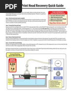 Epson Dx4 Recovery Quick Guide 3