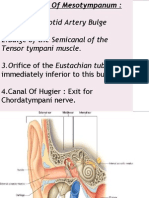 1.internal Carotid Artery Bulge 2.bulge of The Semicanal of The Tensor Tympani Muscle. 3.orifice of The Eustachian Tube Is